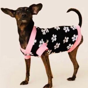 Francesca Mable & James Daisy Knit Pet Sweater